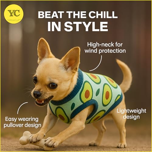 Image of Yellowcult Cute Pet T-Shirt Clothes, Summer Sweetshirts Soft Cotton Pet Random Design Outfit for Small Dog, cat, Puppy, Kitten, Diwali, Festival, Travel, Outing, Photos (S- Any 1)