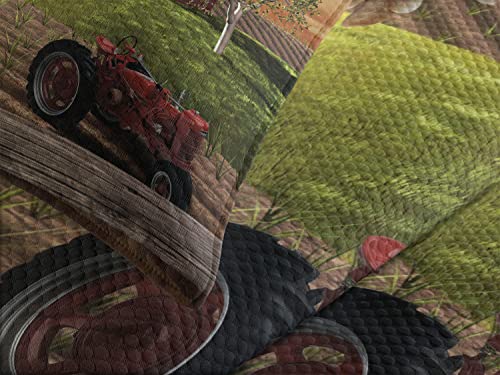 Colcha de pájaros rústica Lunarable para decorar dormitorios de campo en tonos cálidos 4