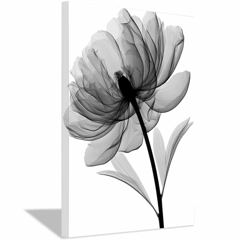 HOQIU Black Grey And White Wall Art Monochrome Xray Peony canvas wall art, painting and decor, for Living Room Bedroom Home Decoration(Multicolor)-60x80cm Framed