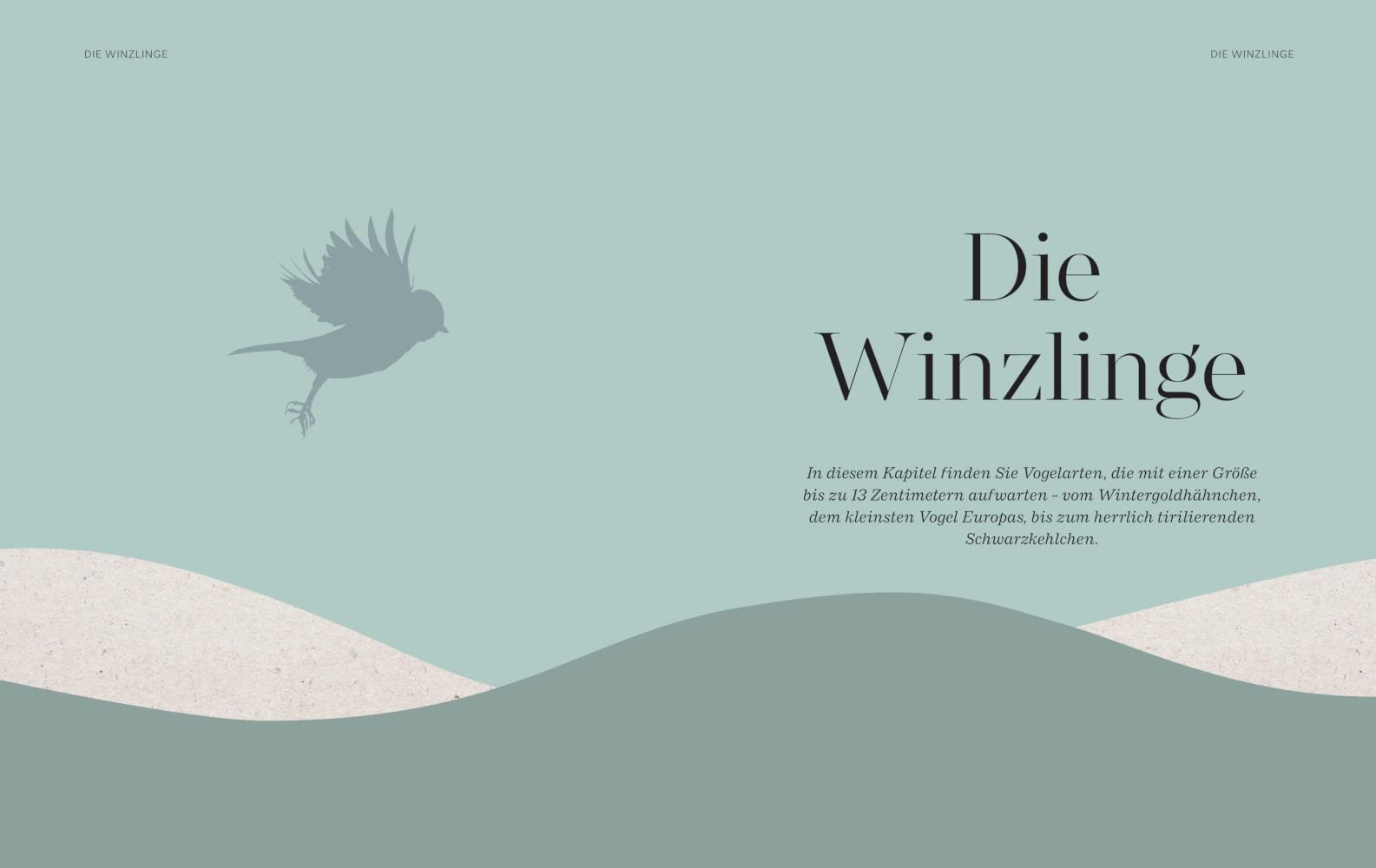 Die magische Welt unserer Vögel: Die heimische Vogelwelt ganz neu entdecken und schützen (BLV Vögel)