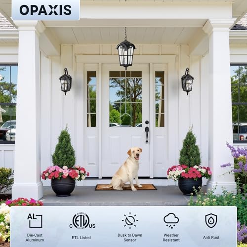 OPAXIS Large Dusk to Dawn Outdoor Pendant Light Fixture, 18.7'' Black Exterior Hanging Lanterns with Adjustable Chain, Aluminum Outdoor Ceiling Lights for House, Porch, Doorway, Vintage Style by OPAXIS - Used condition - Image 4