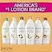 Jergens Shea Butter Hand and Body Lotion, Deep Conditioning Moisturizer, 3X More Radiant Skin, with Pure Shea Butter, Dermatologist Tested, 16.8 Oz, Pack of 3