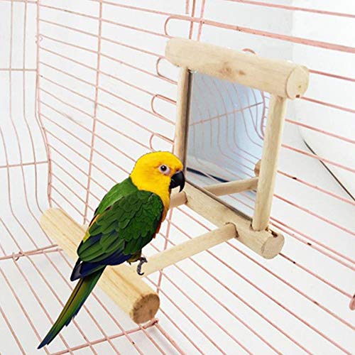 Gemini_malll Vogelsitzstange aus Holz mit Spiegel, lustiges Spielzeug für Papagei, Wellensittich, Sittich, Nymphensittiche, Sittiche, Sittiche, Sittiche, Finken, Lovebird, Amazon, Kakadu, Ara, Gemini_malll Vogelsitzstange aus Holz mit Spiegel, lustiges Spielzeug für Papagei, Wellensittich, Sittich, Nymphensittiche, Sittiche, Sittiche, Sittiche, Finken, Lovebird, Amazon, Kakadu, Ara,