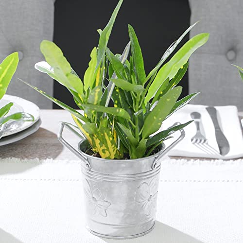 Wh Walford Home Décor - Galvanized Metal Flower Pot Planters With Handles – Rustic Small Metal Buckets - Vintage Style Country Wedding/Table Centerpiece Decorations, 4 Inch, Set Of 12 #TOP5