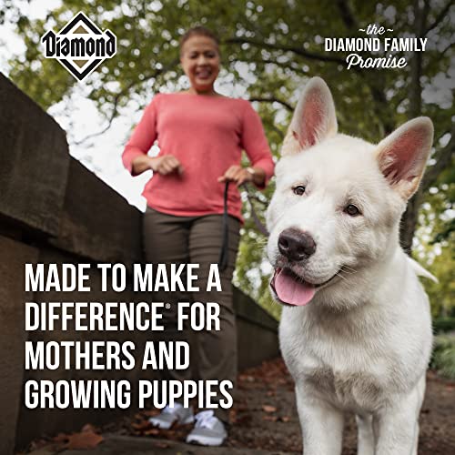 Diamond Premium Puppy is a Complete and Balanced Dry Dog Food Formula Protein, Probiotics, and Healthy Fat That Provide High Nutritional Value in Growing Puppies 8lb (118_8_DPP)