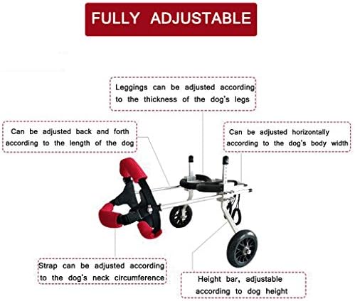 Adjustable Dog Wheelchair for Hind Legs - 2 Wheels Pet Mobility Harness for Handicapped Small Dogs, Puppies & Doggies - Ideal for Rehabilitation & Training