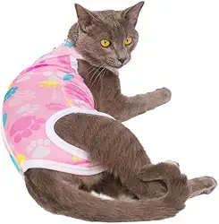 Roupa Gato Pós Cirúrgica Castração (Patas - Fêmea, 3)