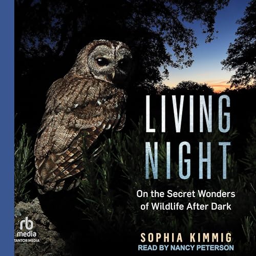 Living Night by Sophia Kimmig episode artwork