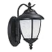 Sea Gull Lighting 84049-185 Yorktown One-Light Outdoor Wall Lantern with Swirled Marbleize Glass Shade, Forged Iron Finish