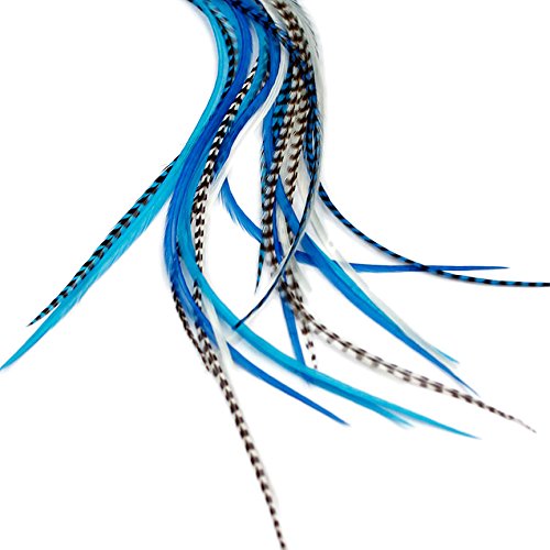 Extensions de cheveux en plumes véritables.