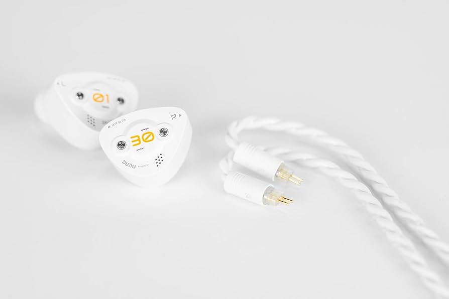 Dunu DK3001 BD リケーブル可能イヤホン DUNU-TOPSOUND DK3001 BD 有線 イヤホン カナル型 リケーブル