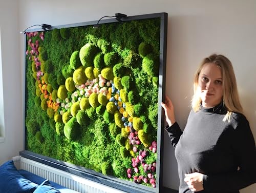 Mur en mousse vivante MossPerfect illuminé avec cadre en bois