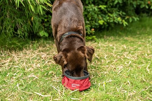 Mountain Paws Collapsible Lightweight Dog Water Bowl, Red, 1.45L - Image 2