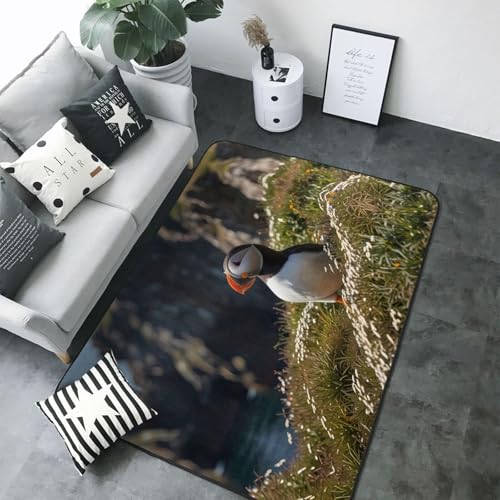 Tapis Puffin is Cliffs 203x147 cm grand format pour salon et bureau - 5