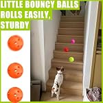 12Pcs Cat Ball Toy, Low Noise No Bells Holey Plastic Cat Balls, Funny Interactive Cats Toys for Indoor Cats, Firm Toy Balls for Kitten Puppy Ferret Bird (1.65") - Image 5