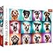 Trefl TR27119 Lustige Hundeportraits II 2000 Teile, Premium Quality, für Erwachsene und Kinder ab 12 Jahren Puzzle, Farbig