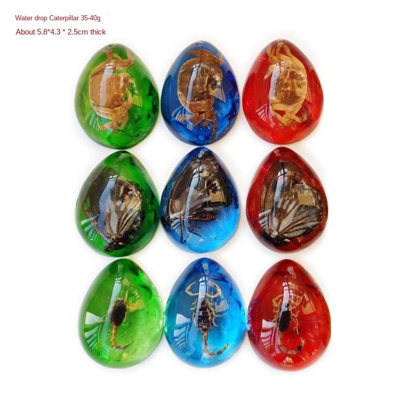 Image of Colourful Amber Fossil Insect Artificial Amber Insect Specimen Pendant Amber Stone Ornament for Collection,Science Education (12 PCS)