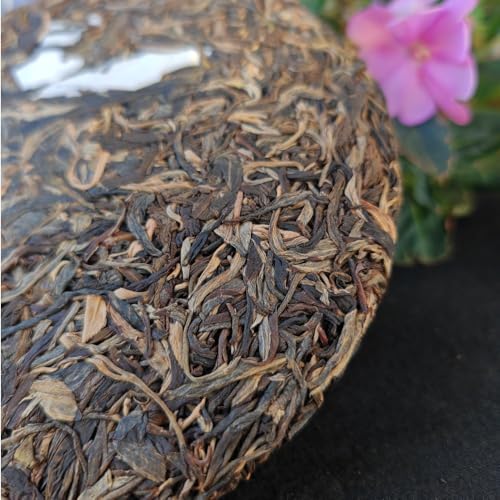 Thé Cru Puerh de Méditation - Yunnan Exquis Montagne Bulang 357g