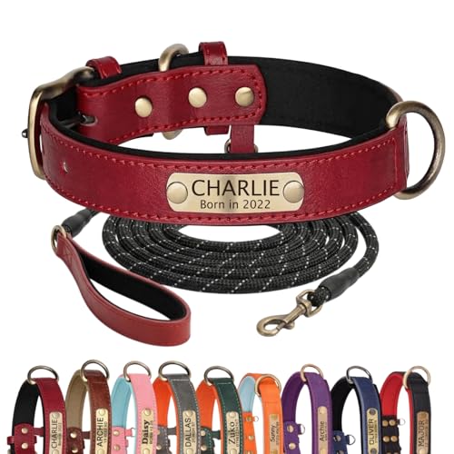 Collare per Cani in Vera Pelle Personalizzato con Incisione Nomi Collare con Design Morbido Imbottito Regolabile e Durevole per Cani di Piccola, Media e Grande Taglia Set di Guinzaglio Personalizzato