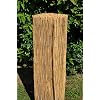 Rieten omheining, zichtweringmat, rietmat, 500 cm H 100 cm