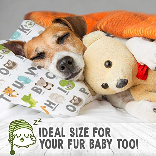 image for KeaBabies Toddler Pillow with Pillowcase - 13X18 Soft Organic Cotton B