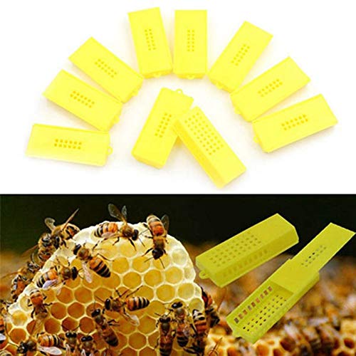ACAMPTAR 100 StüCk Biene Werkzeuge Bienenzucht Transportk?Fige Bienenk?Nigin K?Fige Bienenstock Bienenstock Gelbe Biene… – Bild 3