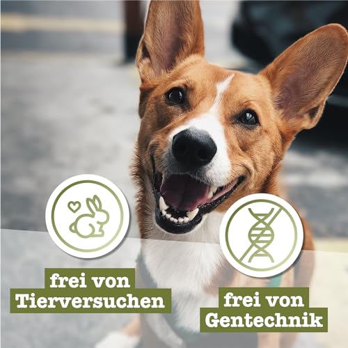 Chewies Hundezigarre Hirsch - Protein Kaustangen für Ihren Hund getreidefrei & zuckerfreie Hunde-Leckerli auch für Welpen & Senior Hunde geeignet, 10er Pack (je 75g)