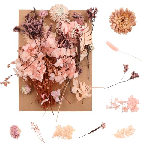 Cozlly Fiori Secchi Naturali, Fiori Pressati Secchi, Veri Fiori Secchi, Decorazioni Floreali Fai Da Te, per Resina Candele Artigianato Scrapbooking Decorazioni (Rosa)