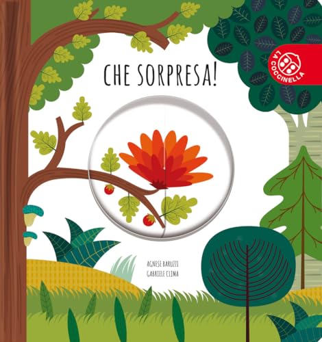 Che sorpresa! Ediz. a color