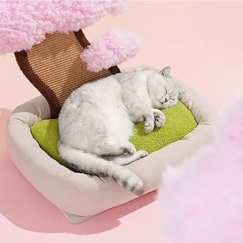 Amazon | PET-ZEZE 猫 ベッド 猫ハウス 猫ベッド キャットタワー