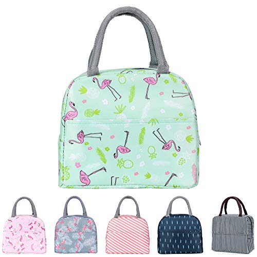 YumSur Bolsa del Almuerzo Bolso de Mano Impermeable Picnic Organizador del Almuerzo Titular de Almuerzo Contenedor de Almuerzo Térmicas para Llevar Almuerzo para Trabajo Oficina Playa Viaje