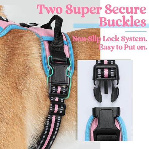 Image of rabbitgoo Dog Harness No Pull with 2 Leash Clips, Adjustable Soft Padded, Reflective Oxford No Choke Pet Vest with Easy Control Handle for Large Dogs, Pink & Blue, XL