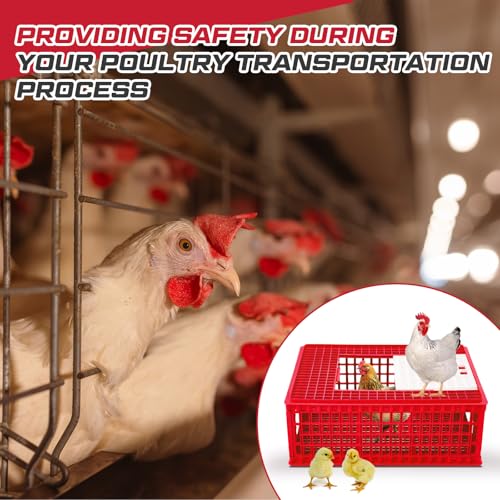 Image of GlikCeil 2 Pcs Poultry Carrier Crate 3 Door Chicken Duck Transport Cage Plastic Poultry Carrier Basket Box for Chicken Duck Goose Birds, 29.53 x 21.65 x 11.42 Inch(Red)