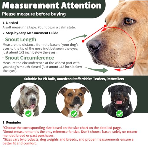 Image of Mayerzon Pitbull Dog Muzzle for Large Medium Dogs Prevent Biting Scavenging | Fits Rottweiler Amstaff Broad-nosed Breed, Sturdy Breathable Basket, Training Walking Use, Allows to Drink | Green, M