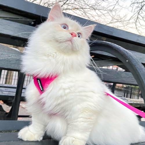 Image of Voyager Escape-Proof Step-in Lock Cat Harness & 5ft Neoprene-Handle Leash Set All-Weather Mesh with Reflective Stitching for Small to Large Cats by Best Pet Supplies, Fuchsia, S
