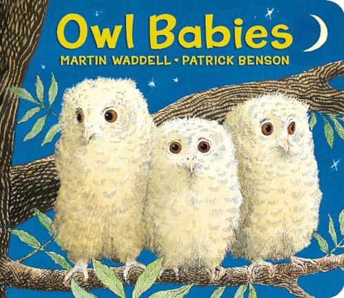 Owl Babies Oversized Board Book