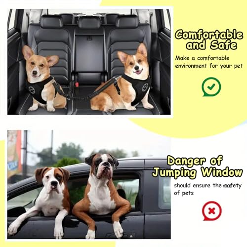VBGURR Anschnallgurt Hund Auto, Elastischer Doppelköpfig Hundegurt Auto, Einstellbar Hunde Anschnallgurt Auto(Schwarz)