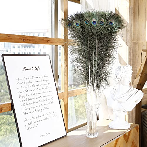 Soarer Long Peacock Feathers Bulk- 25Pcs 32-35 Inches Feathers For Vase, Holiday Decoration And Diy Crafts #TOP1
