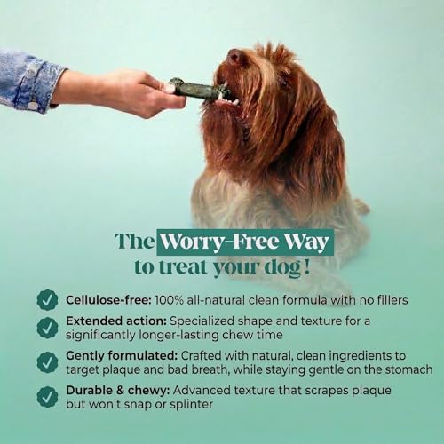Image of Brush Buddies Long Lasting Dog Dental Chews - All Natural Dental Sticks for Teeth Cleaning Plaque Off + Tartar Remover for Dogs - Dog Dental Treats + Breath Freshener - Large Sized Dogs (8 Count)