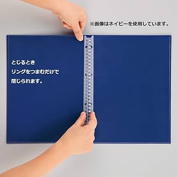 【送料無料】クリープ　リトグラフ Amazon.co.jp: リヒトラブ ファイル クリヤーブック 交換式 A4