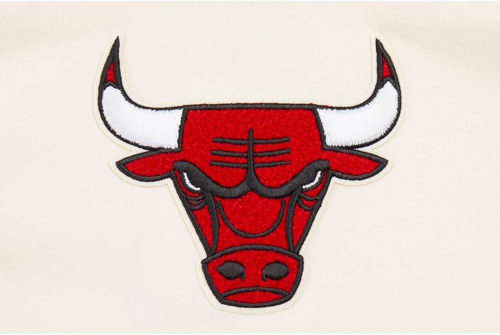 Pro Standard NBA boys Big Boys Nba Retro Classics Fleece Pull Over Hoodie - Image 5