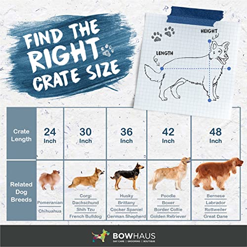 BOWHAUS Dog Crate, Metal Wire Kennel w/Divider Panel, Leak-Proof Pan, 48’’, Double Door, Large Dog Crate Indoor, Foldable & Portable