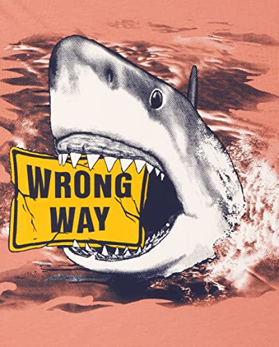 The Children's PlaceThe Children's Place Boys Short Sleeve Graphic T- Shirt 2-PackWrong Way/DangerMedium (7/8)3