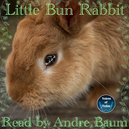 Little Bun Rabbit by L. Frank Baum episode artwork