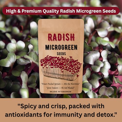 Image of Navika Seeds Radish Microgreen Seeds (100g) for Hydroponic, Soil & Tray Growing | Fast Germination | High Yield | Non-GMO Methi Microgreens Seeds | Free Growing Guide Included |100 Gram Packet