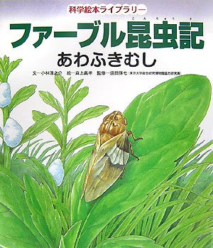 FaÌ„buru konchuÌ„ki. awafukimushi