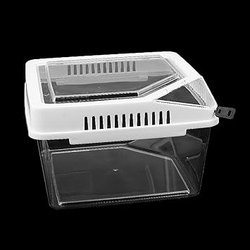 Meri SHOPP Reptile Lizard Spider Beetle Scorpion Vivarium Terrarium Rearing Box White