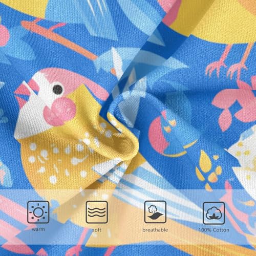 KLL Bird Paradise Boys Toddler Comfort Training Underwear Breathable Children Panties3