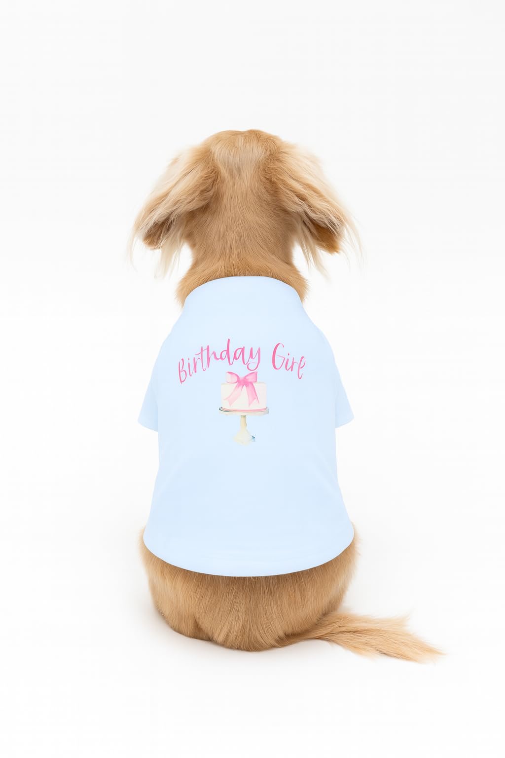 T-shirt pour chien vêtement de balade estivale frais pour chiot L