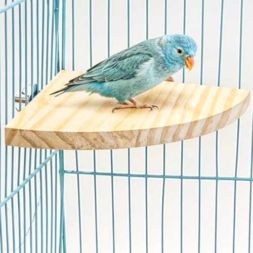 Image of Bird Perch Platform Stand Wooden Parrot Perch Corner 5.9 Inches Fan Shape Playground Cage Accessories Parrot Stand Flat Perches for Bird Cages Corner Shelf for Birds Parrots Hamster Gerbil